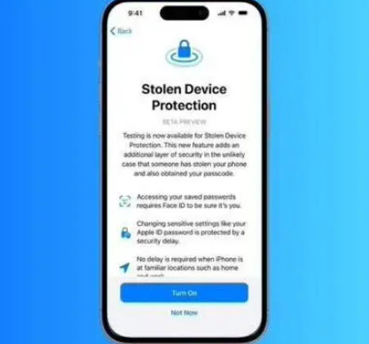 石龙镇苹果授权维修店分享被盗设备保护功能开启方法 