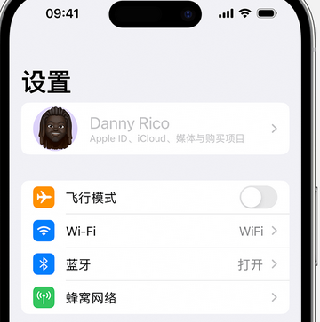 石龙镇appleID维修服务iPhone设置中Apple ID显示为灰色无法使用 