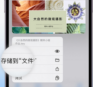 石龙镇apple维修中心分享iPhone文件应用中存储和找到下载文件