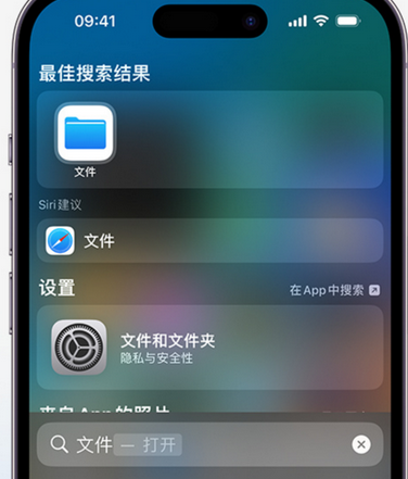 石龙镇apple维修中心分享iPhone文件应用中存储和找到下载文件