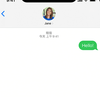 石龙镇apple维修iPhone上无法正常发送iMessage信息