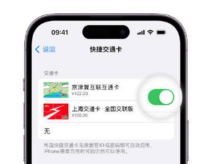 石龙镇apple维修点分享iPhone上更换Apple Pay快捷交通卡手绘卡面 