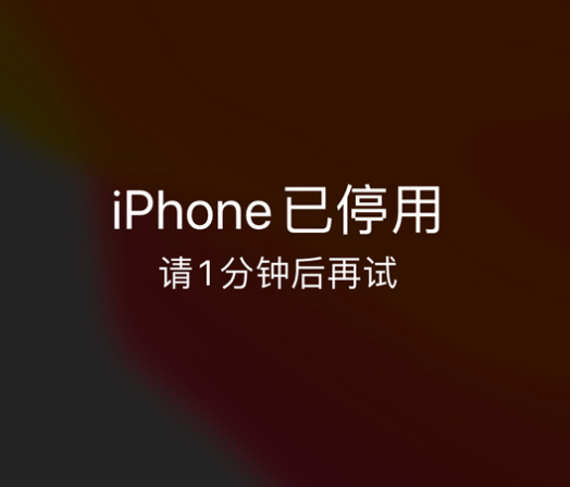 石龙镇苹果手机维修分享:iPhone 显示“不可用”或“已停用”怎么办？还能保留数据吗？ 