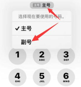 石龙镇苹果14维修店分享iPhone 14 Pro Max使用副卡打电话的方法 