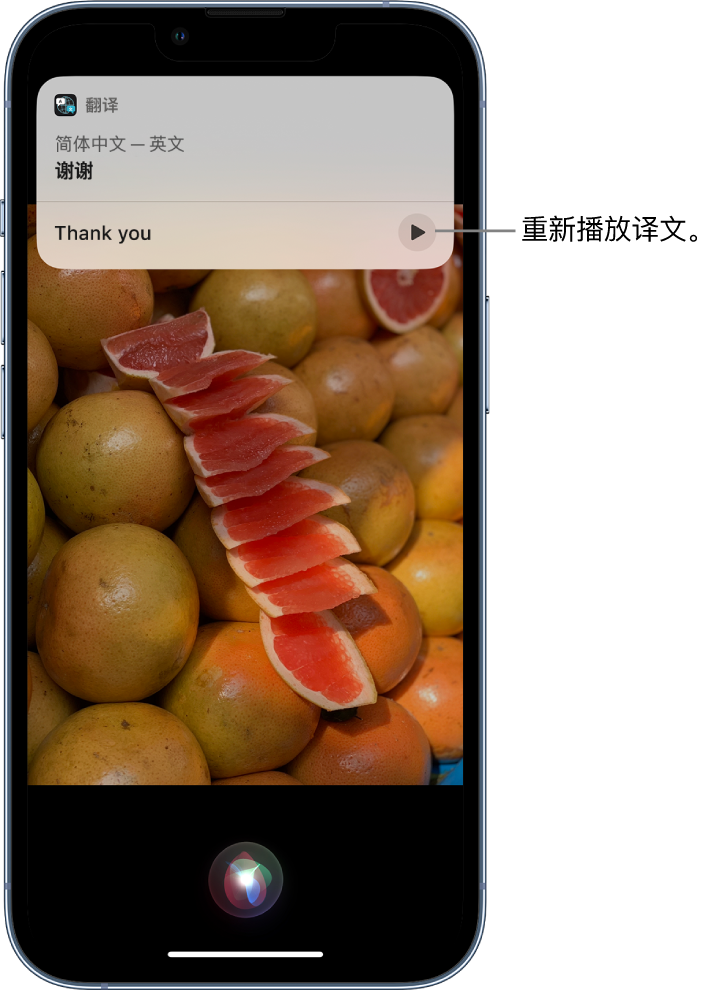 石龙镇苹果14维修分享 iPhone 14 机型中使用 Siri：了解 Siri 能帮你做什么 