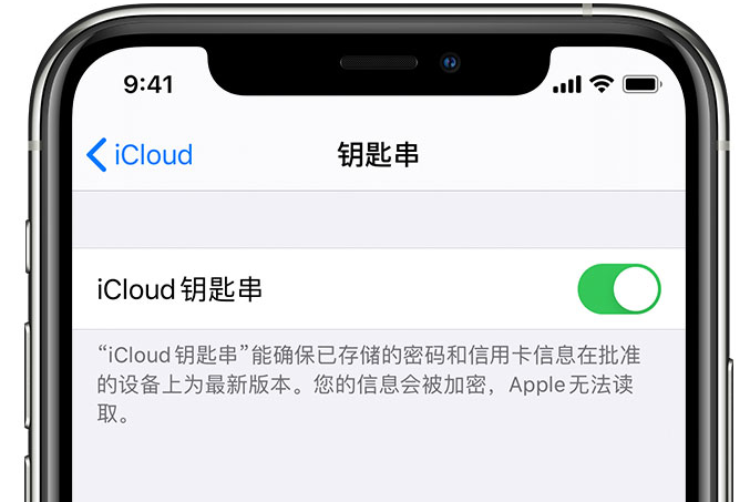 石龙镇苹果手机维修分享在 iPhone 上开启 iCloud 钥匙串之后会储存哪些信息 