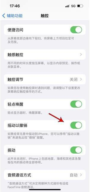 石龙镇苹果手机维修分享iPhone手机如何设置摇一摇删除文字 