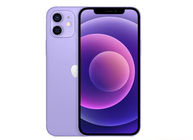 石龙镇苹果手机维修分享现阶段要不要入手紫色版iPhone12 