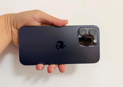 石龙镇苹果维修点分享iPhone 14 Pro Max黑屏少见故障盘点 